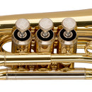 Stagg Bb Pocket Trumpet, w/regular Bb Trumpet bell - clear lacquered
