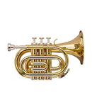 Stagg Bb Pocket Trumpet, w/regular Bb Trumpet bell - clear lacquered
