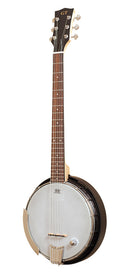 Gold Tone Banjitar with pickup and bag, left-handed model