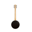 Gold Tone Banjitar with pickup and bag, left-handed model