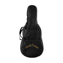 Gold Tone 5-string solid body mandolin with gig bag
