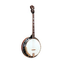 Gold Tone Tenor special Banjo