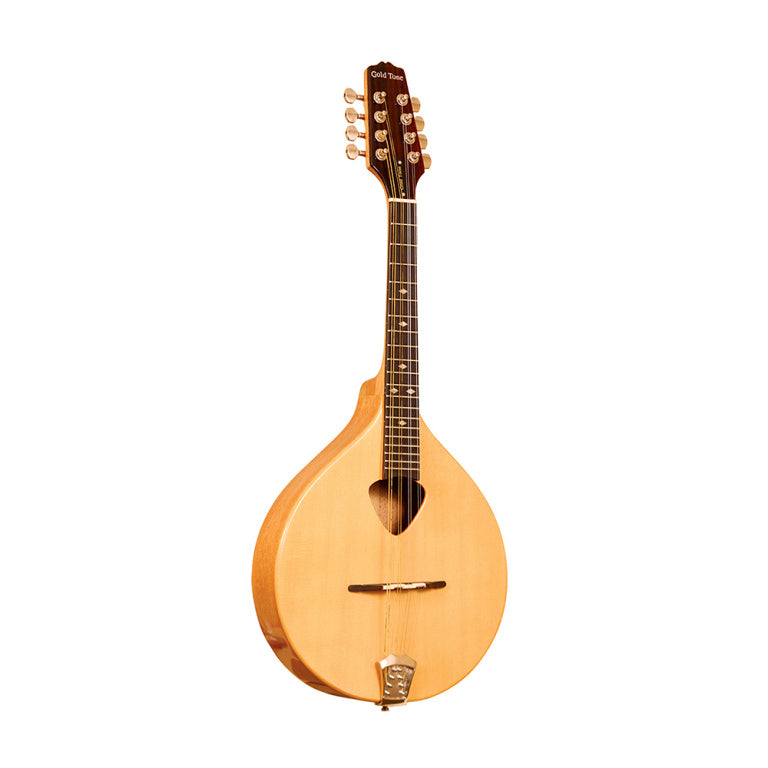 Gold Tone Traditional Irish mandola with bag