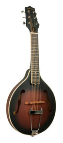Gold Tone Guitar mandolin with A-style body and bag