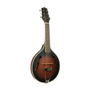 Gold Tone Guitar mandolin with A-style body and bag