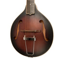 Gold Tone Guitar mandolin with A-style body and bag