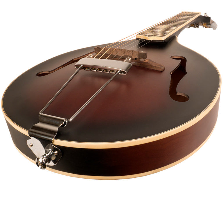 Gold Tone Guitar mandolin with A-style body and bag