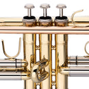 Stagg Bb trumpet, ML-bore, leadpipe in gold brass, with soft case - clear lacquered