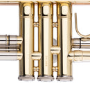 Stagg Bb trumpet, ML-bore, leadpipe in gold brass, with soft case - clear lacquered