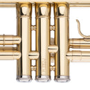 Stagg Bb Trumpet, ML-bore, Brass body material - clear lacquered