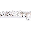 Stagg C Flute - closed holes, offset G, split E - S/Plated