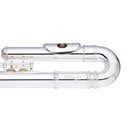 Stagg C flute, 2 head joints w/curved, closed holes, offset G, split E - Silver Plated