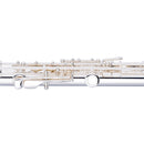 Stagg C flute, 2 head joints w/curved, closed holes, offset G, split E - Silver Plated