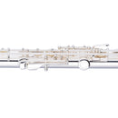 Stagg - C Flute - open holes, offset G, split E - S/Plated