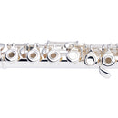 Stagg - C Flute - open holes, offset G, split E - S/Plated