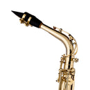 Stagg Eb Alto Saxophone, in form case - clear lacquered