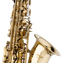 Stagg Eb Alto Saxophone, in form case - clear lacquered