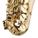 Stagg Eb Alto Saxophone, in form case - clear lacquered