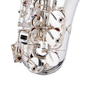 Stagg Eb Alto Saxophone, in soft case - Silver Plated