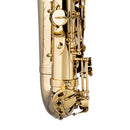 Stagg Eb Alto Saxophone, in form case - clear lacquered