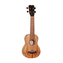Islander Traditional soprano ukulele with spalted maple top