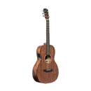 JN Guitars Acoustic-electric parlor guitar with solid mahogany top, Dovern series