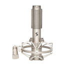 Stagg Ribbon microphone