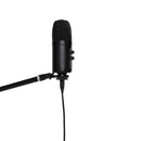 Stagg Double condenser USB microphone, metal finish