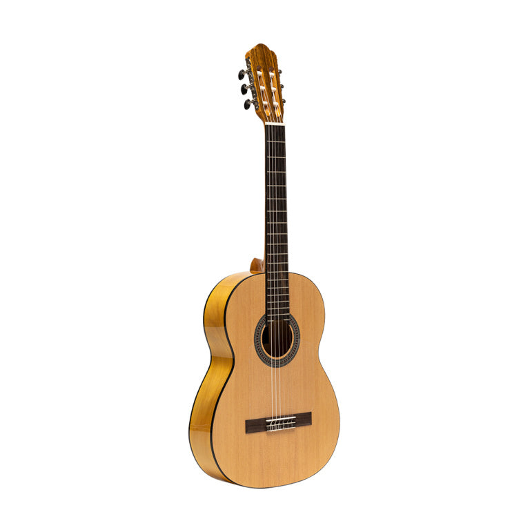 Stagg Flamenca guitar