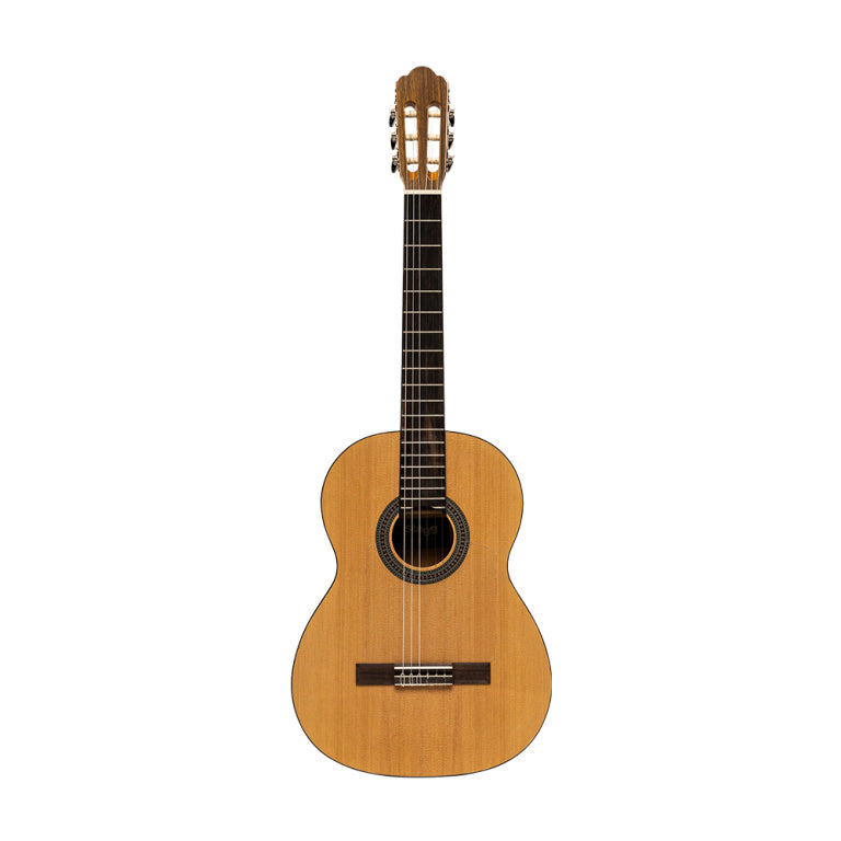 Stagg Flamenca guitar