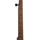 Gold Tone 5-string open back banjo with bag