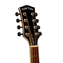 Gold Tone Mandocello guitar with pickup and case