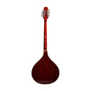 Gold Tone Irish bouzouki mandolin with hard case