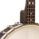 Gold Tone Irish tenor banjo with 12" pot and bag included