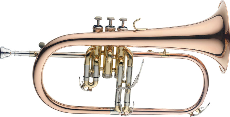 Stagg Bb Flugelhorn, Goldbrass instrument - clear lacquered