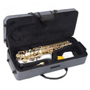 Odyssey Premiere 'EB' Alto Saxophone Outfit ~ Silver/Gold