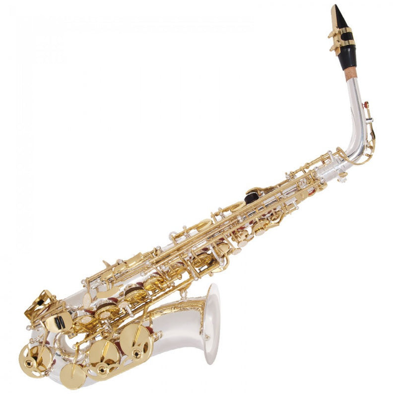 Odyssey Premiere 'EB' Alto Saxophone Outfit ~ Silver/Gold