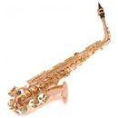 Odyssey Premiere 'EB' Alto Saxophone Outfit ~ Rose/Gold