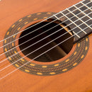 Santos Martinez Allegro Cutaway Electro-Classic