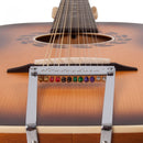 Vintage 'STATESBORO' Paul Brett 12 String Acoustic ~ Satin Antique Burst