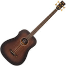 Vintage Statesboro' Electro-Acoustic Bass ~ Whisky Sour