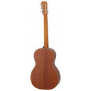 Aria Acoustic Guitar - ARIA 131 - Matte Tobacco Sunburst