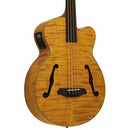 Aria Bass Guitar - FEB F2/FL - Stained Brown