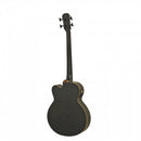 Aria Bass Guitar - FEB F2M/FL - Stained Brown