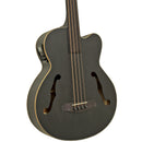 Aria Bass Guitar - FEB F2M/FL - Stained Black