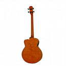 Aria Bass Guitar - FEB F2M - Stained Brown