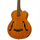 Aria Bass Guitar - FEB F2M - Stained Brown