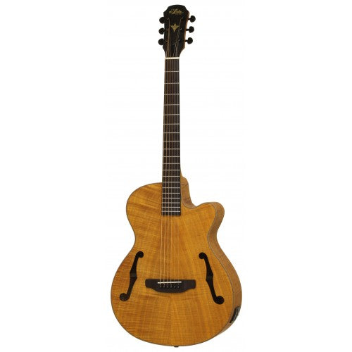 Aria Electro-Acoustic Guitar - FET F2 - Stained Brown