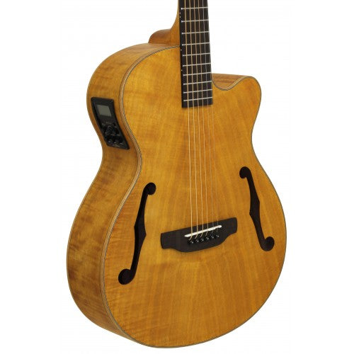 Aria Electro-Acoustic Guitar - FET F2 - Stained Brown