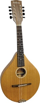 Ashbury A Style Mandolin, Solid Cedar